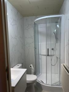 Koupelna v ubytování petit appartement Huy centre