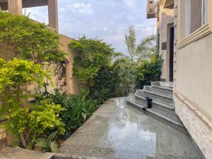a cat sitting on the side of a building at Trio Villa with coverable private pool in compound near Mall of Egypt in Sheikh Zayed