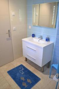 a bathroom with a sink and a mirror and a shower at Banyuls in Latour-Bas-Elne