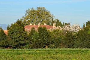 a house in the middle of a field with trees at Banyuls in Latour-Bas-Elne