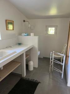 a bathroom with a sink and a toilet at Le cabanon de la bergerie in Grignan