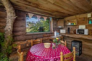 Dapur atau dapur kecil di Tregroes Glamping Geodomes