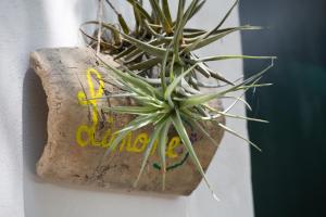 Kép Giardino Nascosto szállásáról Tavianóban a galériában