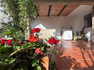 Una habitación con flores rojas en un patio. en Omar J House, en Paipa