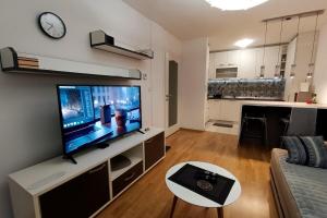 un salon avec une télévision à écran plat sur un mur dans l'établissement Lovely 1-bedroom rental unit with free parking, à Sarajevo