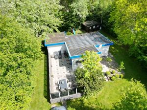 德科赫De Witte Schelp的树林中房屋的顶部景色