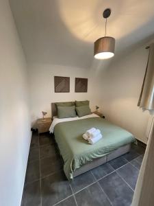 a bedroom with a green bed in a room at Appartement dans centre historique in Tarascon