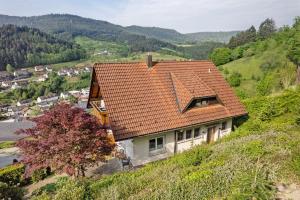 Příroda nedaleko apartmánu