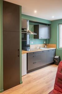 Η κουζίνα ή μικρή κουζίνα στο Le Green Spot, gare, IUT, rocade WisdhomeConciergerie +7 φωτογραφίες