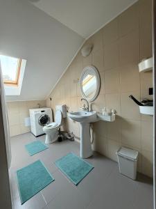 a bathroom with a sink toilet and a mirror at Emun Grigo Lofthouse in Cluj-Napoca +40 photos