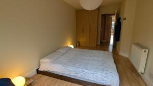 Imagem da galeria de Homely & Spacious 2BD Close to Phoenix Park & City em Dublin