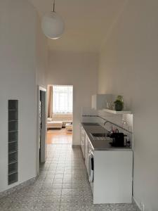 Kuchyň nebo kuchyňský kout v ubytování City center apartment + 6 fotografií