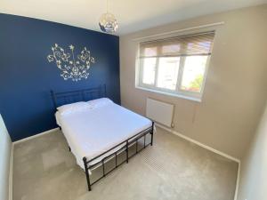 a bedroom with a bed with a blue wall at The Fern Two Bedroom Escape in South Norwood