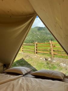 山景或在山林小屋看到的山景