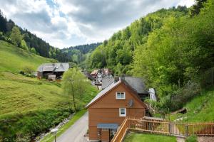 a small house on a hill next to a road at Ferienwohnung Glashütte in Sankt Märgen