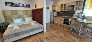 A kitchen or kitchenette at Sofia Apartment Kázmér