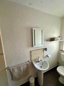 un bagno bianco con lavandino e WC di Nellie Dee's - Room Only a Doolin