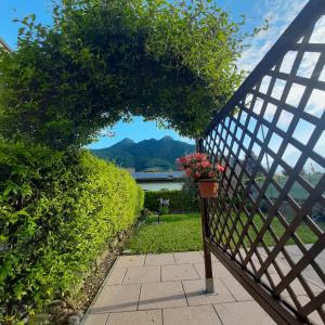 a gate with a potted plant on the side of it at Il PETTIROSSO in Galbiate
