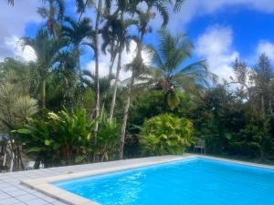 a swimming pool in front of some palm trees at Wonderland Villa in Petit-Bourg