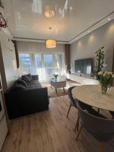 Televízia a/alebo spoločenská miestnosť v ubytovaní Cozy apartment