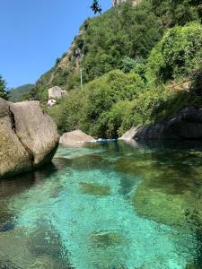Φυσικό τοπίο κοντά σε αυτή η παραθεριστική κατοικία