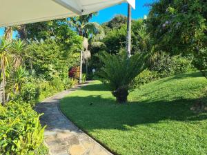 a garden with a lawn with a tree and a walkway at Cosy Cottage in East London