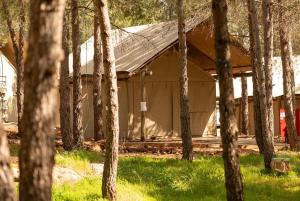 a building is under construction behind a group of trees at Ortal Glamping in Ortal