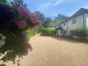 リングウッドにあるNew Forest Country Home with Hot Tub and Open Fireの花の家の前の私道