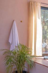 a towel hanging on a wall next to a window at La Cabaña Rosa in Amealco