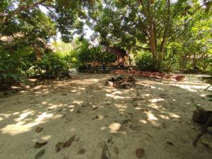 Donde Orlando - Guatiguara في سانتا مارتا: حديقة بها كراسي وأشجار في الظل