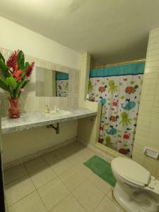Donde Orlando - Guatiguara في سانتا مارتا: حمام مزود بمرحاض ومغسلة ومرآة