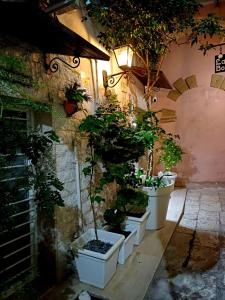 Zahrada ubytování B&B Bari Vecchia R