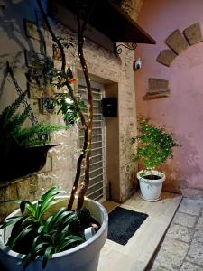 Fotografie z fotogalerie ubytování B&B Bari Vecchia R v Bari