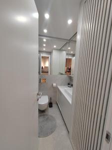 a bathroom with a toilet and a tub and a sink at New Luxury Suite with Garrage in Belgrade