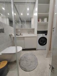 a bathroom with a toilet and a sink and a washing machine at New Luxury Suite with Garrage in Belgrade +10 photos