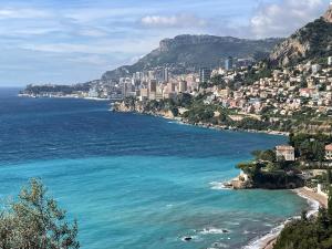 Naturlandskabet i nærheden af lejligheden