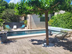 a tree sitting next to a swimming pool at Appartement avec piscine partagée in Boucoiran-et-Nozières +2 photos