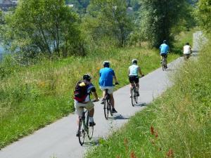 a group of people riding bikes down a road at Ferienweingut Rudorfer in Valwig