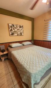 a bedroom with a large bed and a window at Coconut Lodge in Panama City +29 photos