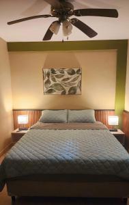 a bedroom with a bed and a ceiling fan at Coconut Lodge in Panama City