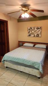 a bedroom with a bed with a ceiling fan at Coconut Lodge in Panama City