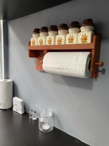 a shelf with rolls of toilet paper on a wall at Hospedaje Casa Azul in Mexico City +43 photos