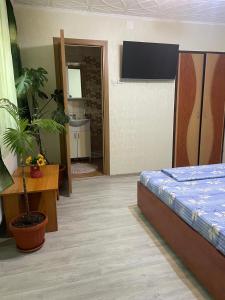 ein Schlafzimmer mit einem Bett und einer Topfpflanze in der Unterkunft Căsuța Verde in 2 Mai