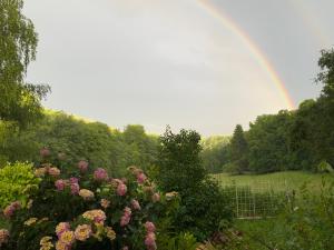 a rainbow over a garden with flowers and trees at Waldbaden am Blauen in Röschenz