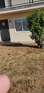 a house with a tree in front of it at El Rio Motel in Glendale