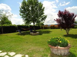 Vonkajšia záhrada v ubytovaní La Vecchia Stalla B&B