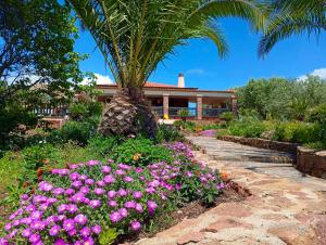 A garden outside Alghero Villa Barranch with sea view swimming pool for 6 people