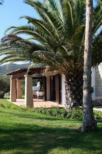 una palmera delante de un edificio con porche en Villa Sea Dream, en Castiadas