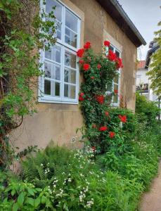 a window with red flowers on the side of a building at Haus Kroneck-Salis Ferienwohnung in Bad Iburg