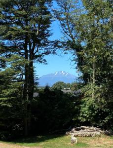 Gambar di galeri bagi Lofts Magnolias di Puerto Varas